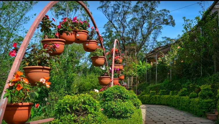 Rose-Garden-Homestay Munnar